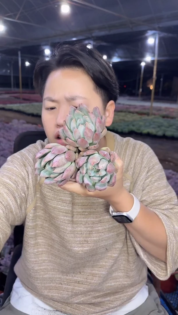婚戒3颗  5