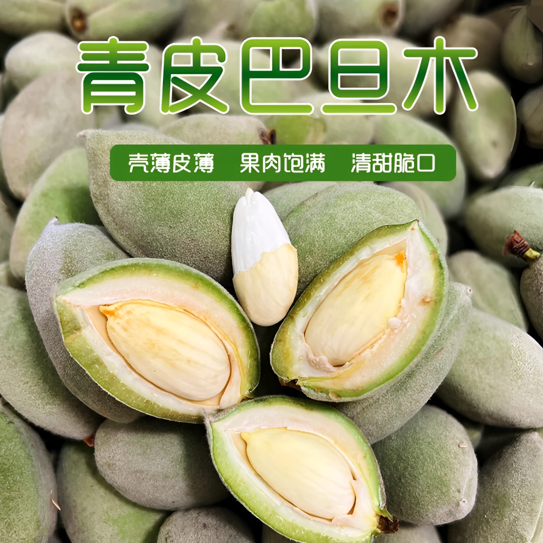 新鲜青皮巴旦木鲜果巴旦木大杏仁 即食零食1/3/5斤产地直发