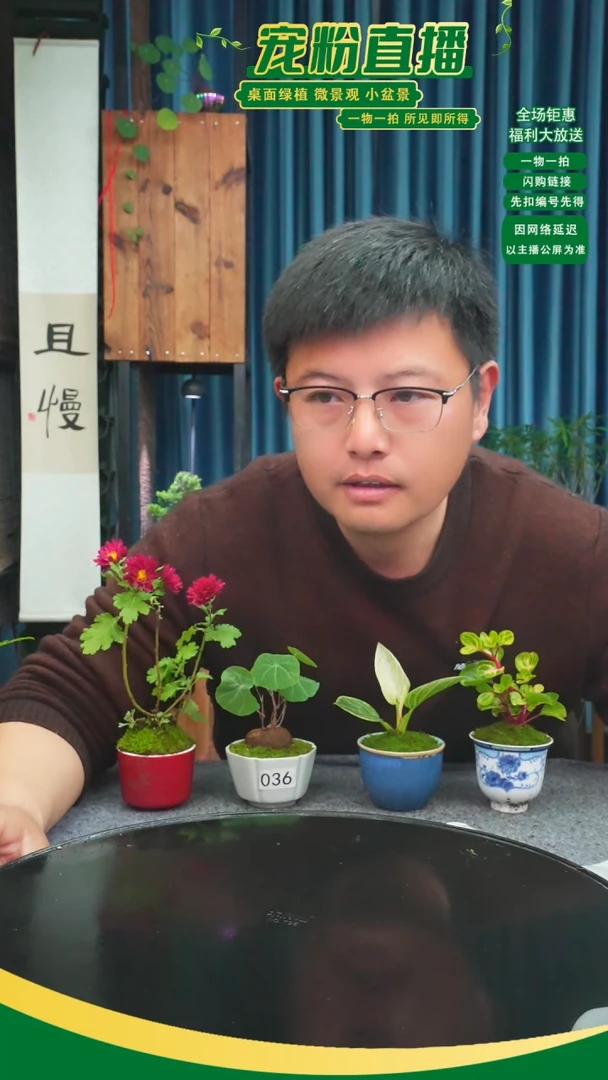 无花朵君*～苔藓微景观036号