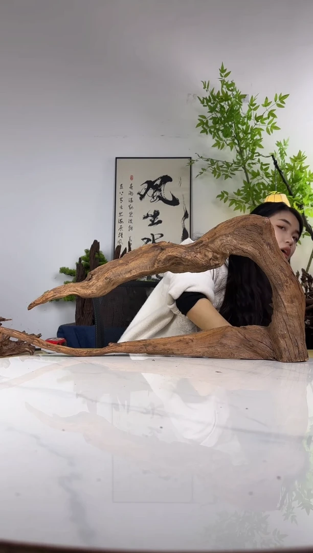 事**为拍这个定向编号24