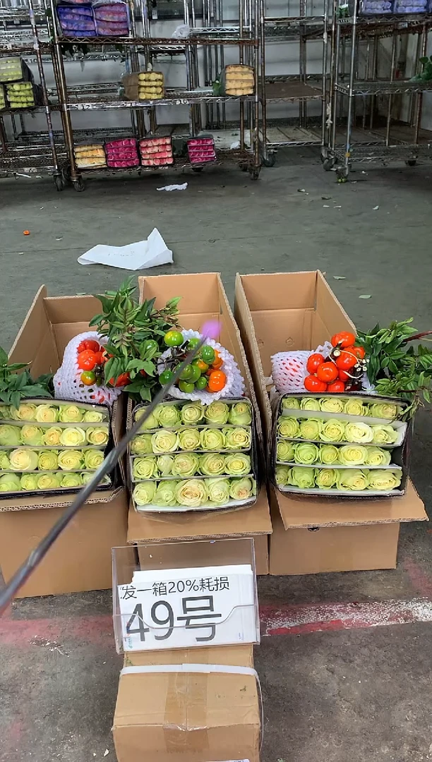 49号♥中通含20%耗损发一箱