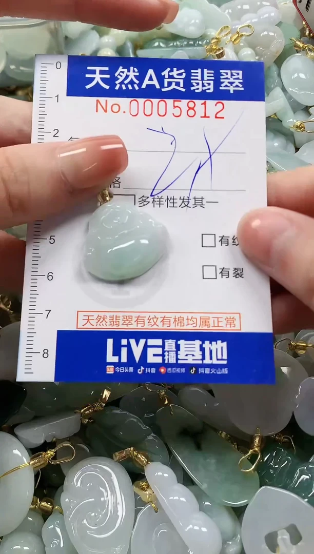 颈饰未镶嵌翡翠纯天然a货翡翠
