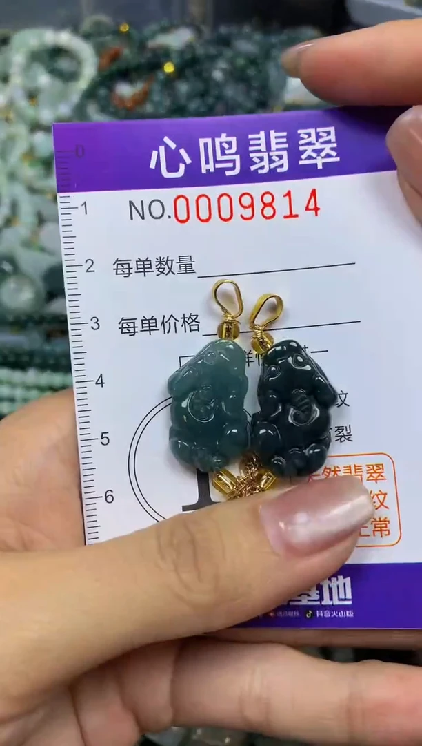 翡翠未镶嵌颈饰闪购009814