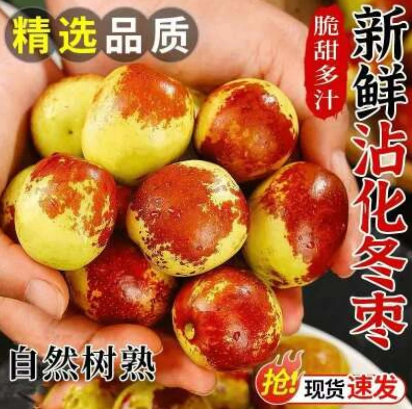 【冰糖心冬枣】正宗沾化冬枣果园直发坏果包赔k