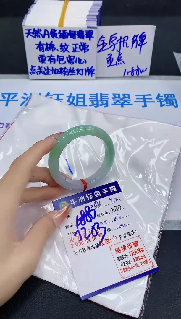 未镶嵌手镯翡翠11111