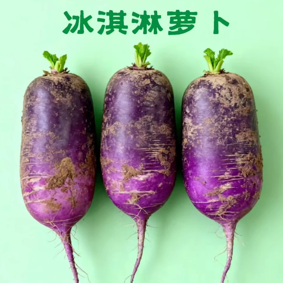 山东潍坊新鲜现拔冰淇淋水果萝卜甜脆多汁冰糖心