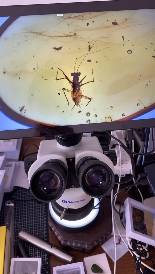 精美摆件创意礼物家居配饰新年礼物个人收藏