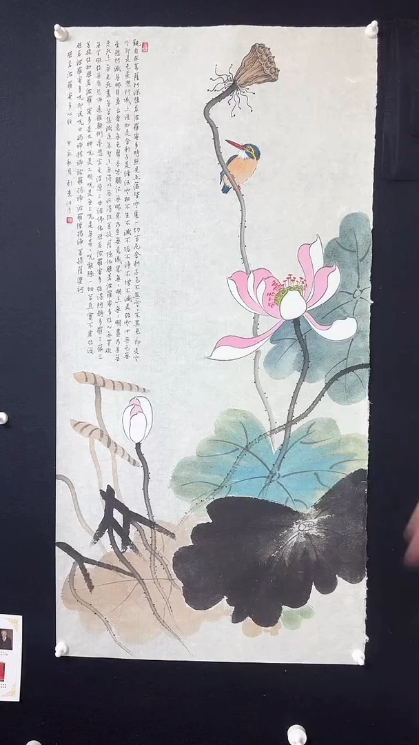 【闪购商品】国画绘画莲蓬小鸟