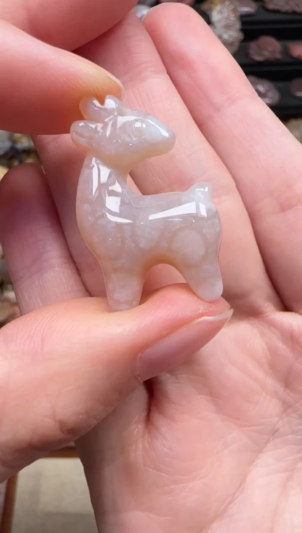 颈饰未镶嵌硅化珊瑚（珊瑚玉）404