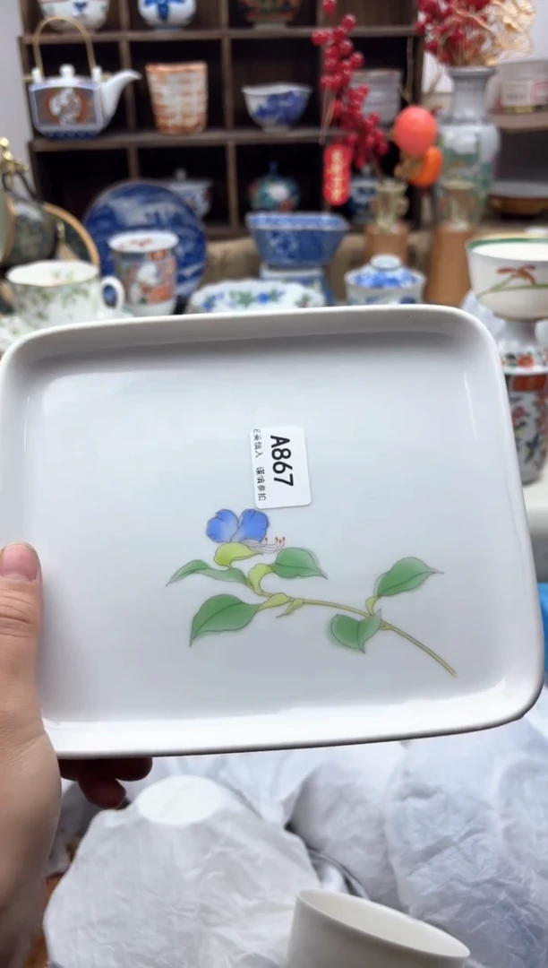 【闪购商品】碟867A.............