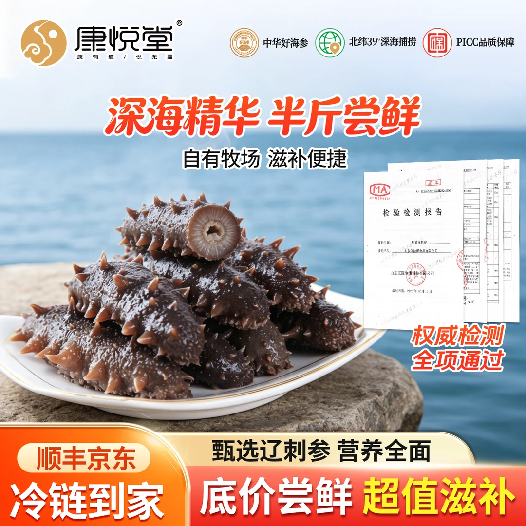 康悦堂 海参深海【半斤尝鲜】大连辽刺参即食海参实惠特价入门款