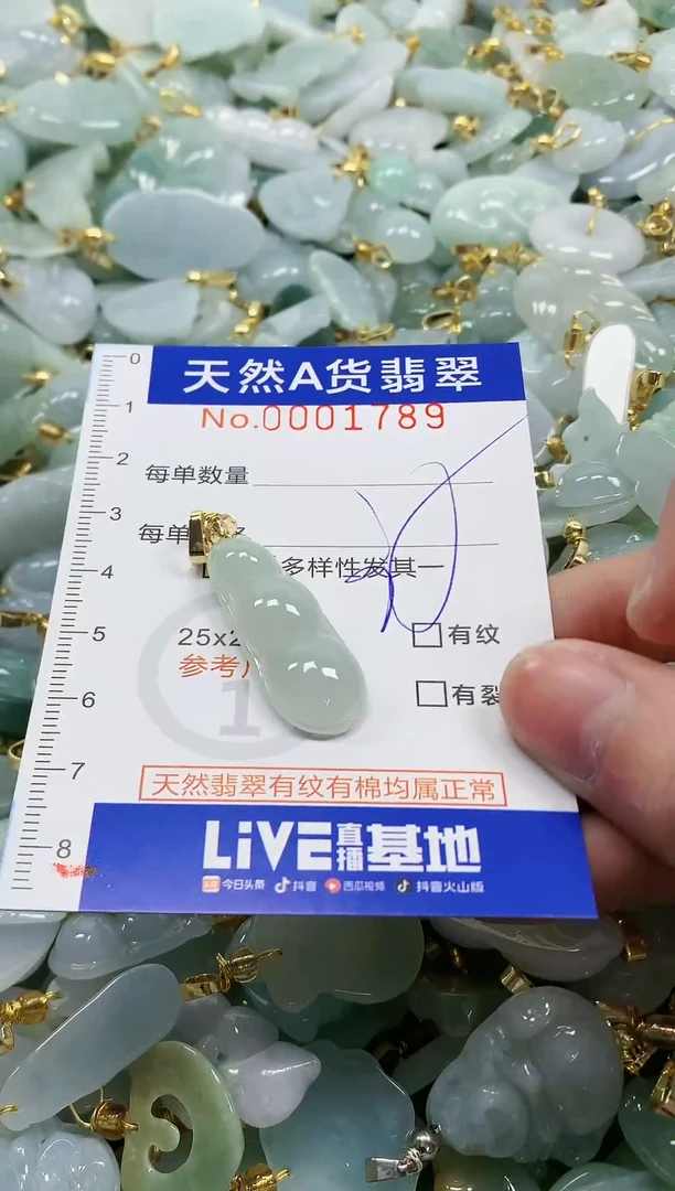 颈饰未镶嵌翡翠纯天然a货翡翠