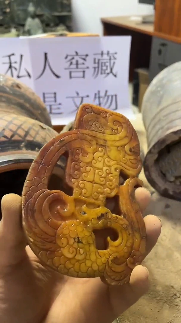 硅化玉奇石未镶嵌24