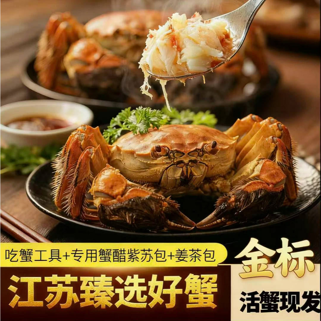 【活蟹】 金标 母3.8-4.1+公4.8-5.1 加两只到手6/8/10只精品大闸蟹