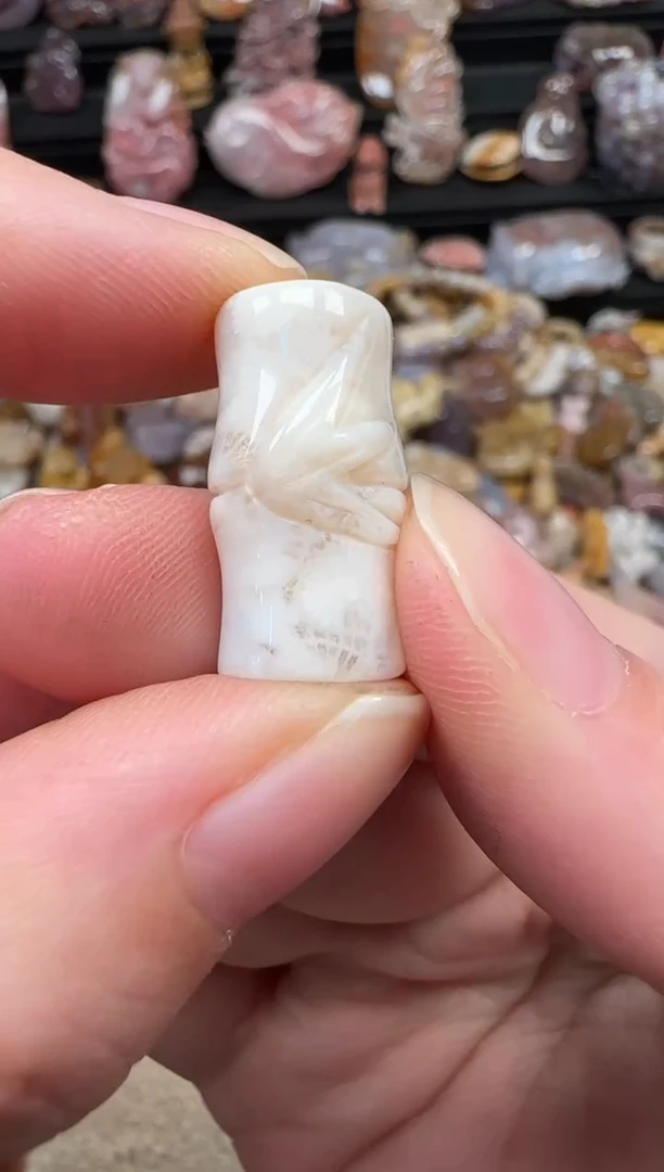 颈饰未镶嵌硅化珊瑚（珊瑚玉）613