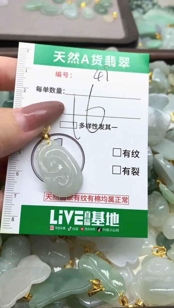 颈饰未镶嵌翡翠纯天然缅甸A货翡翠-49