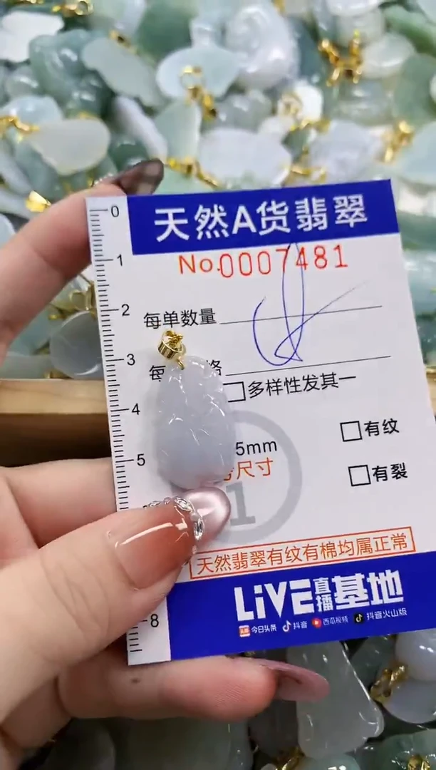 颈饰未镶嵌翡翠天然A货翡翠