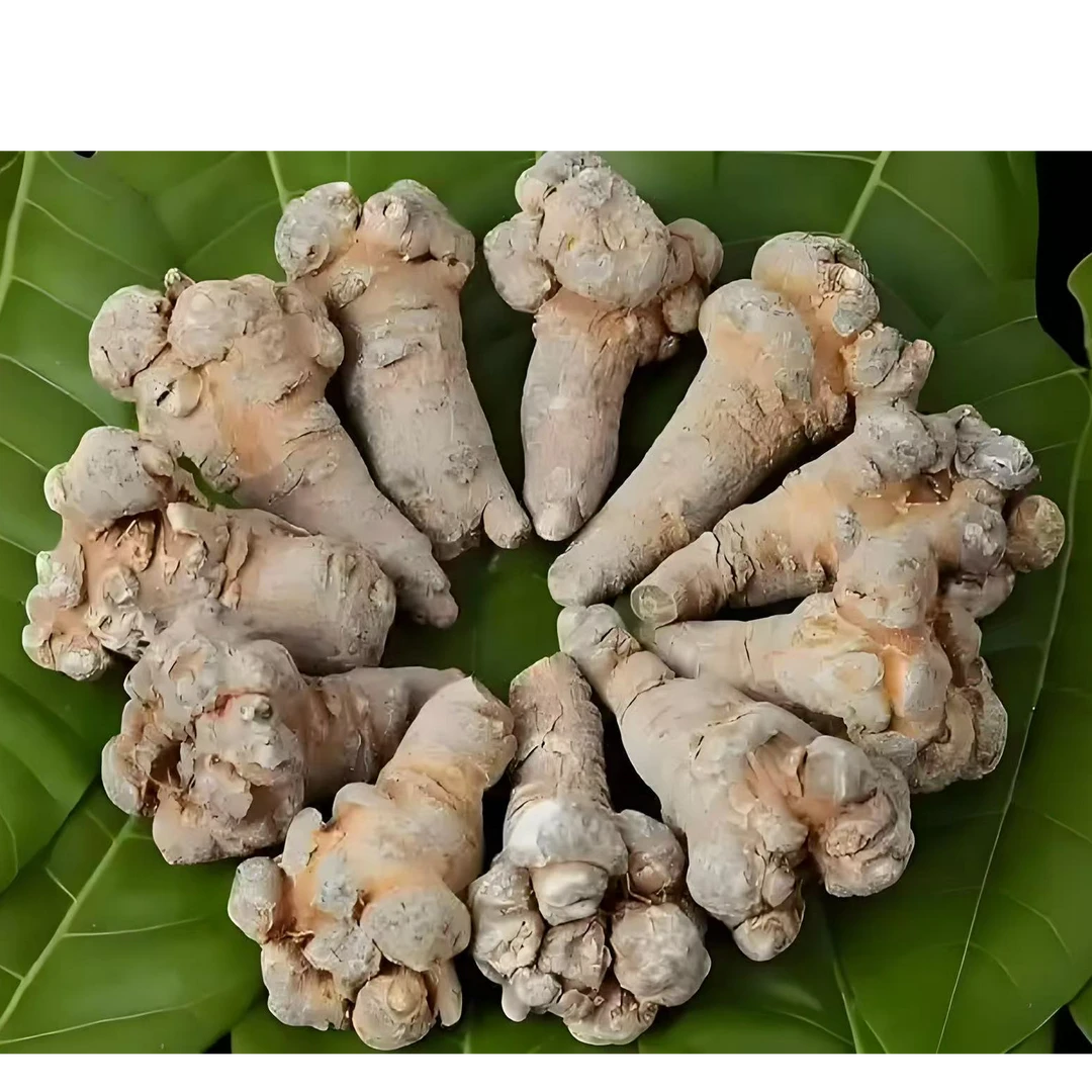 云南土特产泡酒泡水煲汤炖肉