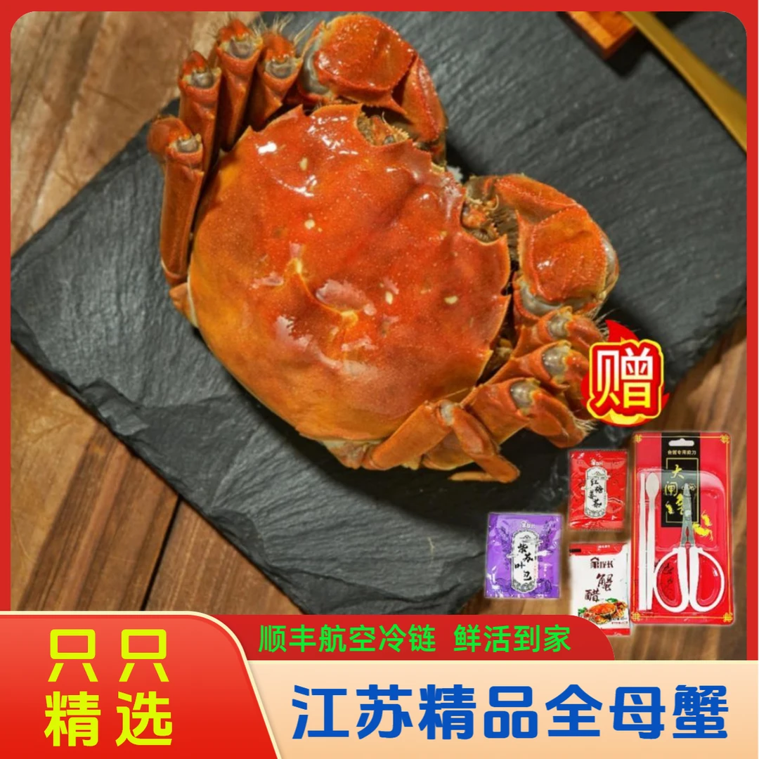 【活蟹】苏州河蟹全母蟹2.0-2.3两8/10只礼盒装海鲜