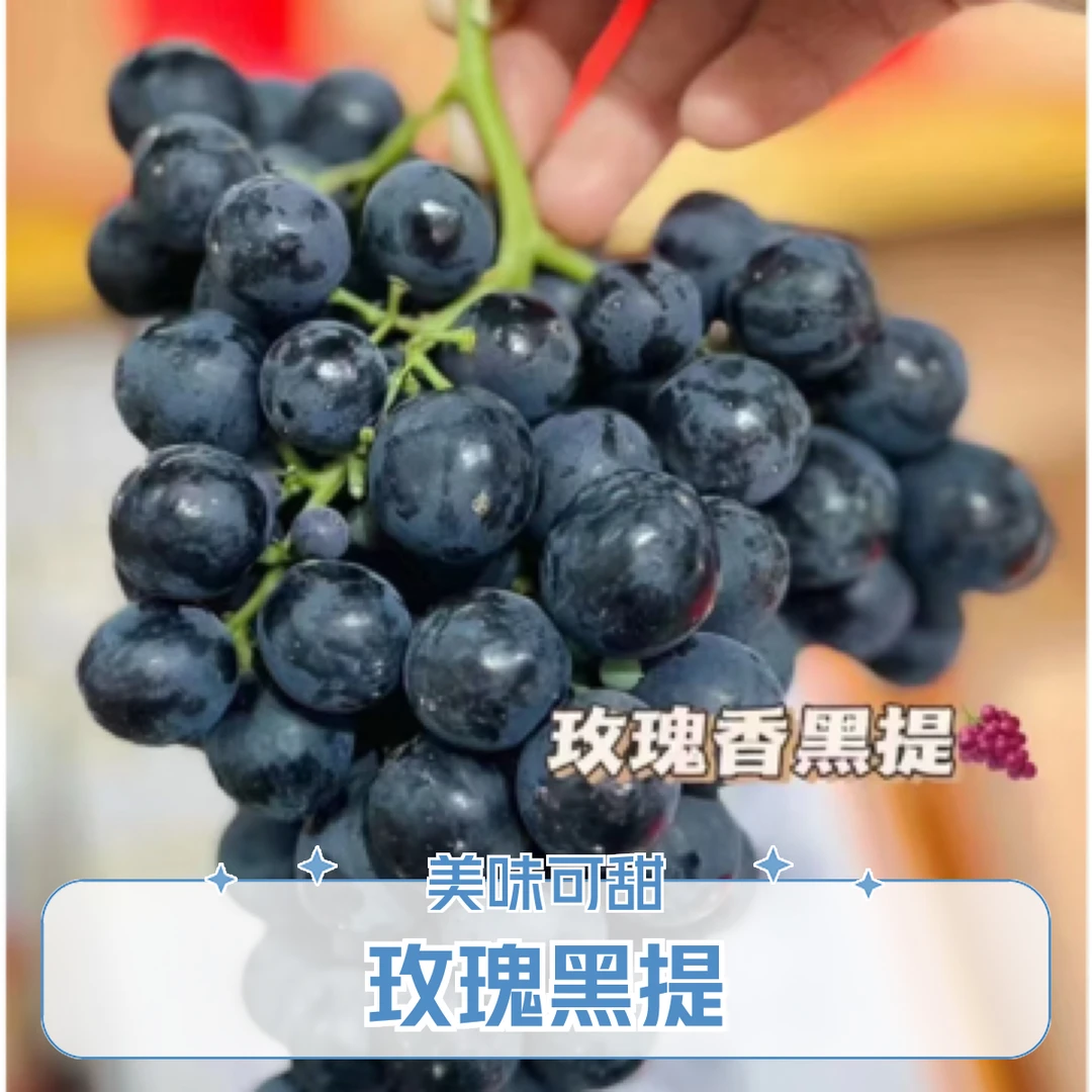 好吃的智利无籽黑提「2斤左右」云南省