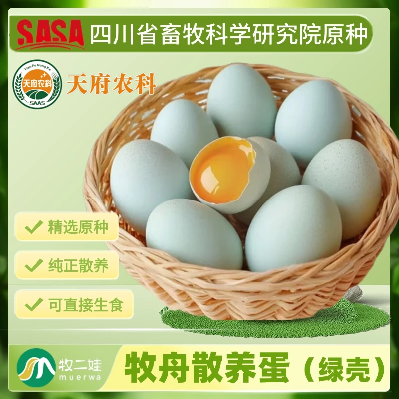 牧舟散养蛋（绿壳）