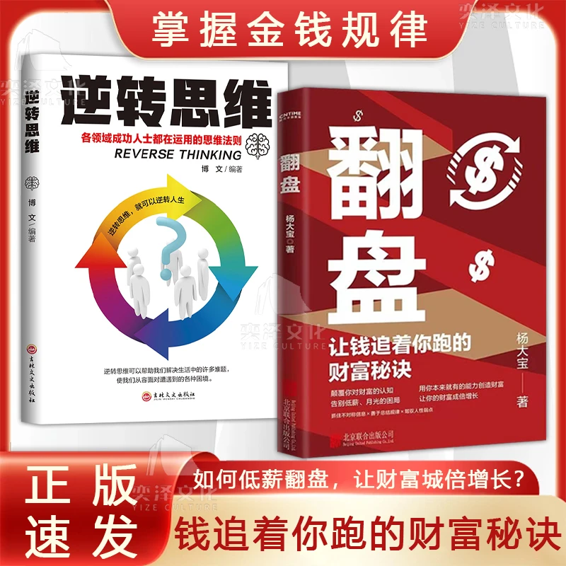 翻盘 用你本来就有的能力创造财富让你的财富成倍增长LY