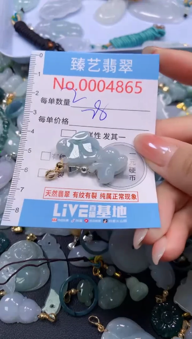 颈饰未镶嵌翡翠4865