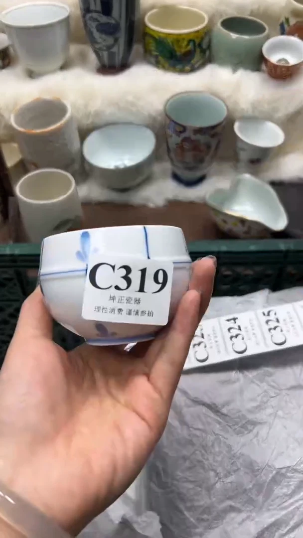 【闪购商品】瓷片          C319