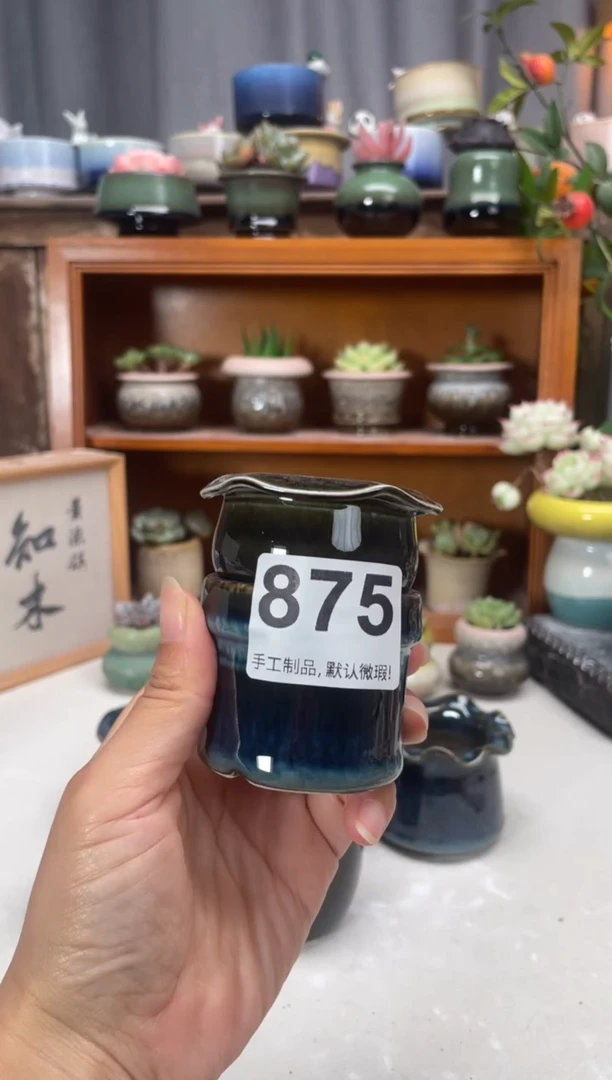 瓷片嘎**豆875知木小芳花盆