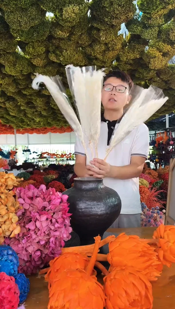 13   永生花福利5扎