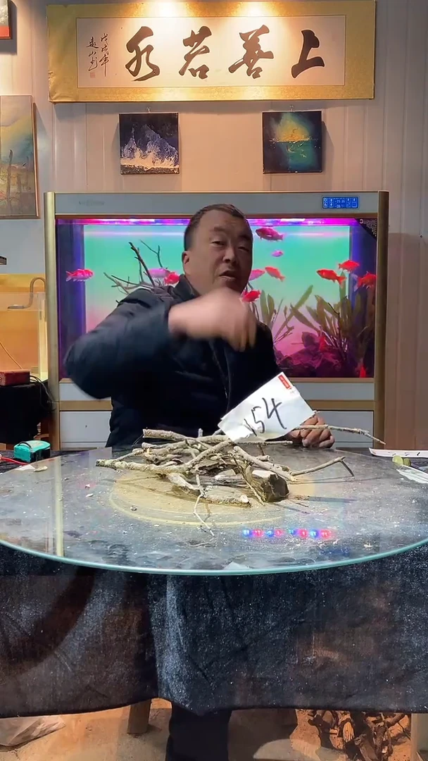 154号天然黄栎木一组适合30-40缸