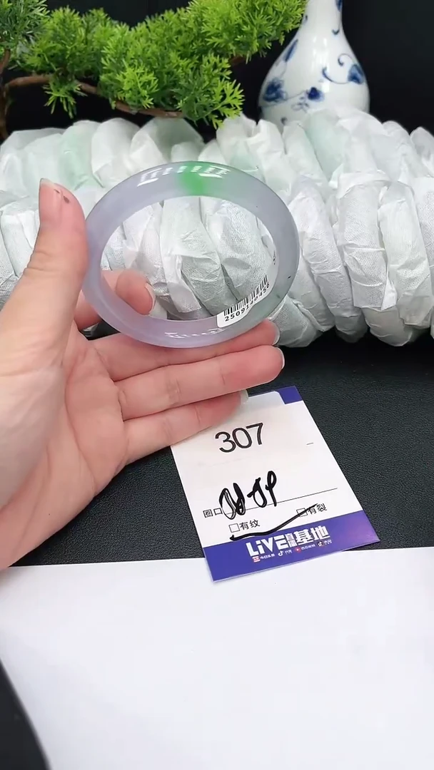 未镶嵌手镯翡翠307