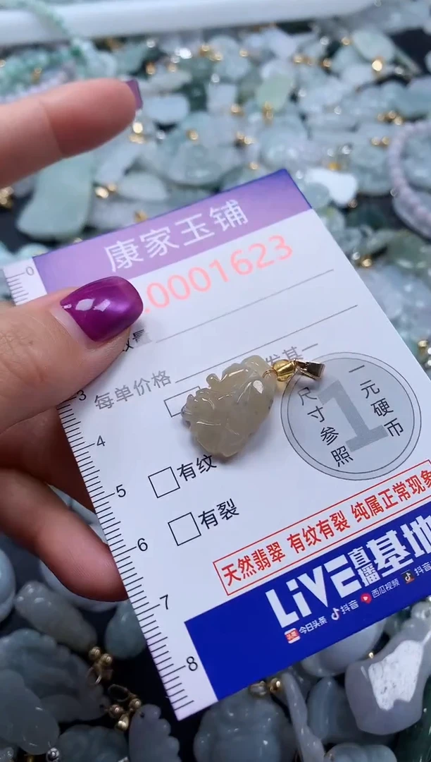 颈饰未镶嵌翡翠1623
