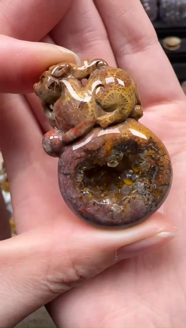 颈饰未镶嵌硅化珊瑚（珊瑚玉）572