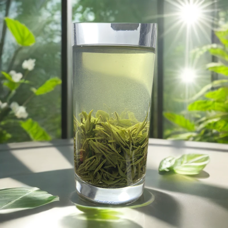 2024年正宗信阳毛尖雨前老旱茶芽叶（栗香浓郁鲜爽耐泡）年底福利款