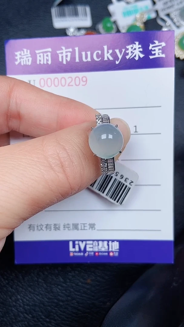 颈饰未镶嵌翡翠0209