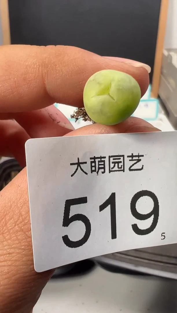 【闪购商品】++++519