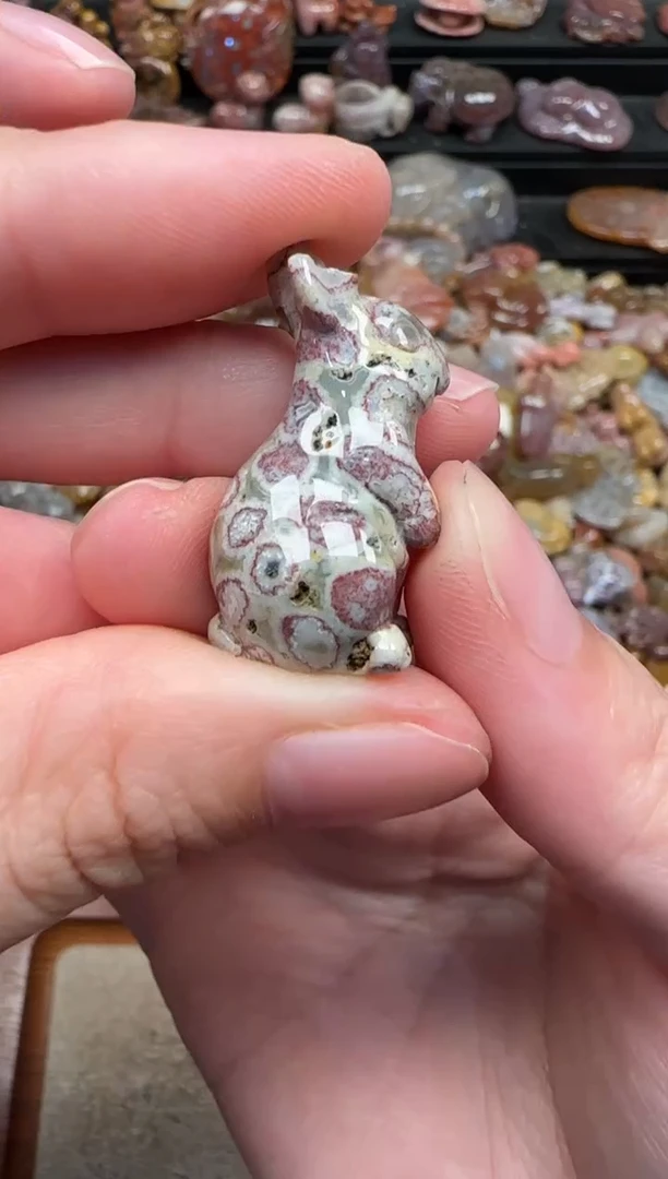 颈饰未镶嵌硅化珊瑚（珊瑚玉）754