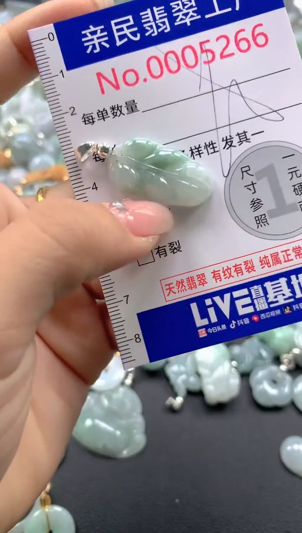 颈饰未镶嵌翡翠5266