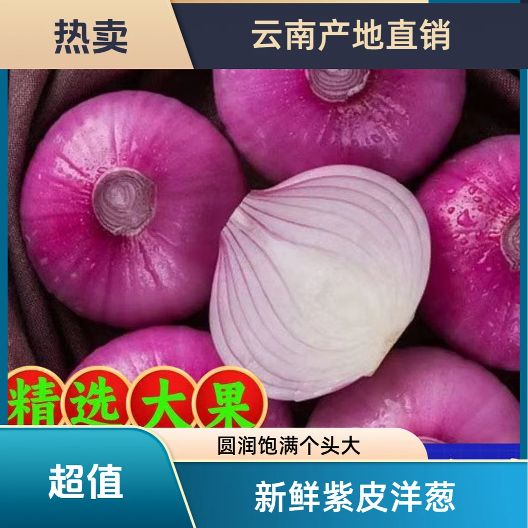正宗云南建水紫皮洋葱产地直发精选特大果人工精挑细选炒菜配菜