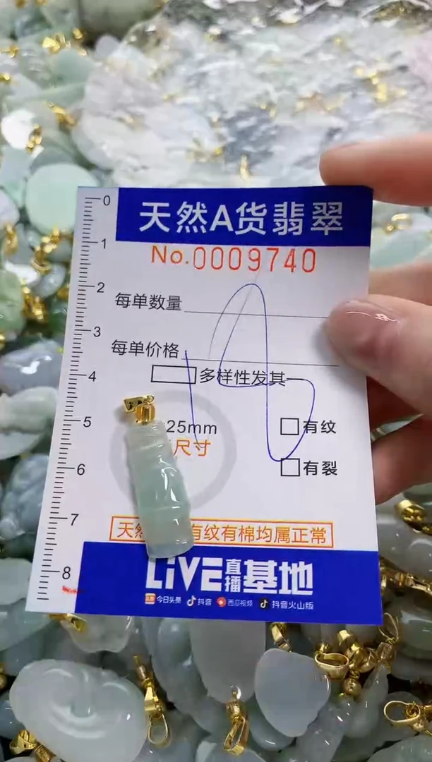 颈饰未镶嵌翡翠天然A货翡翠