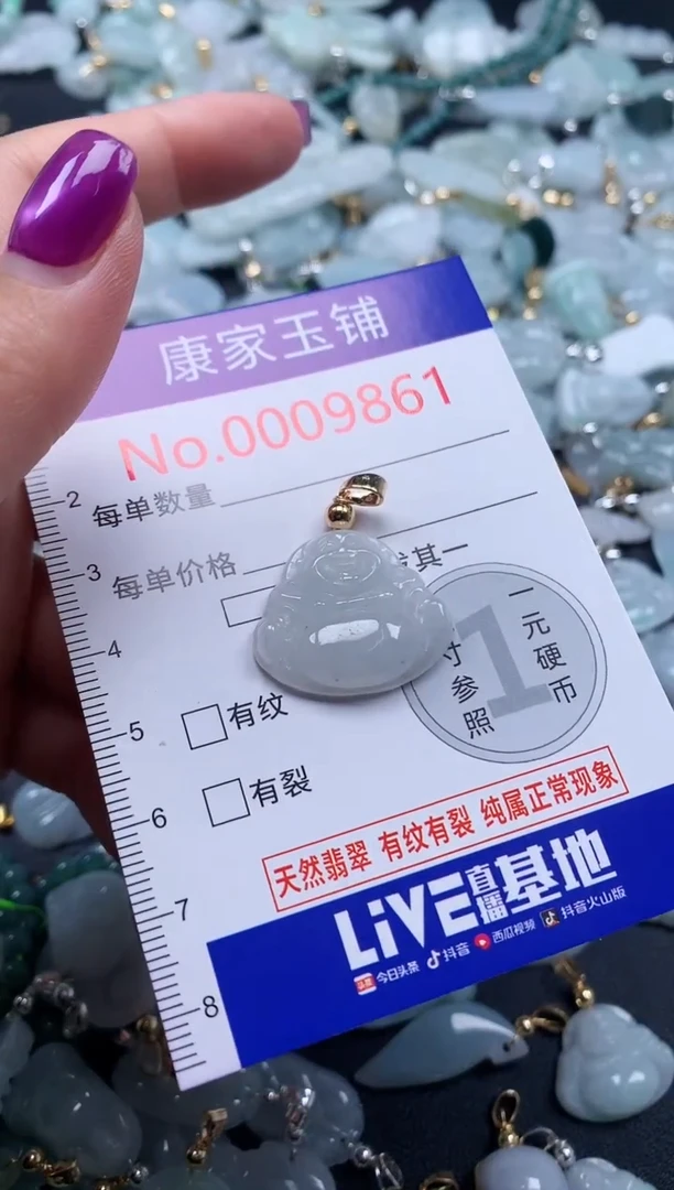 颈饰未镶嵌翡翠9861