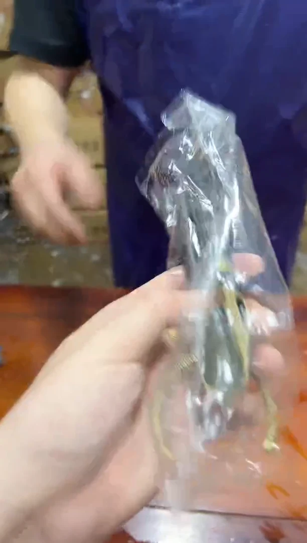 瓷片其他其他其他其他