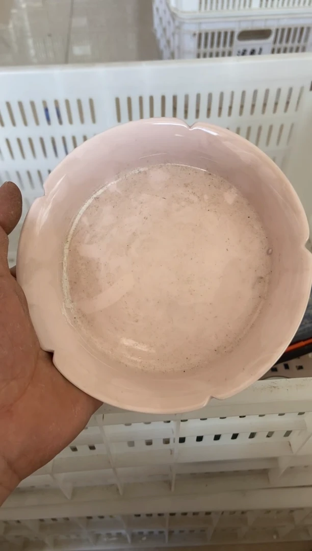 无运费险有瑕疵的摄影的产品有使用过的痕迹有点脏介意勿拍