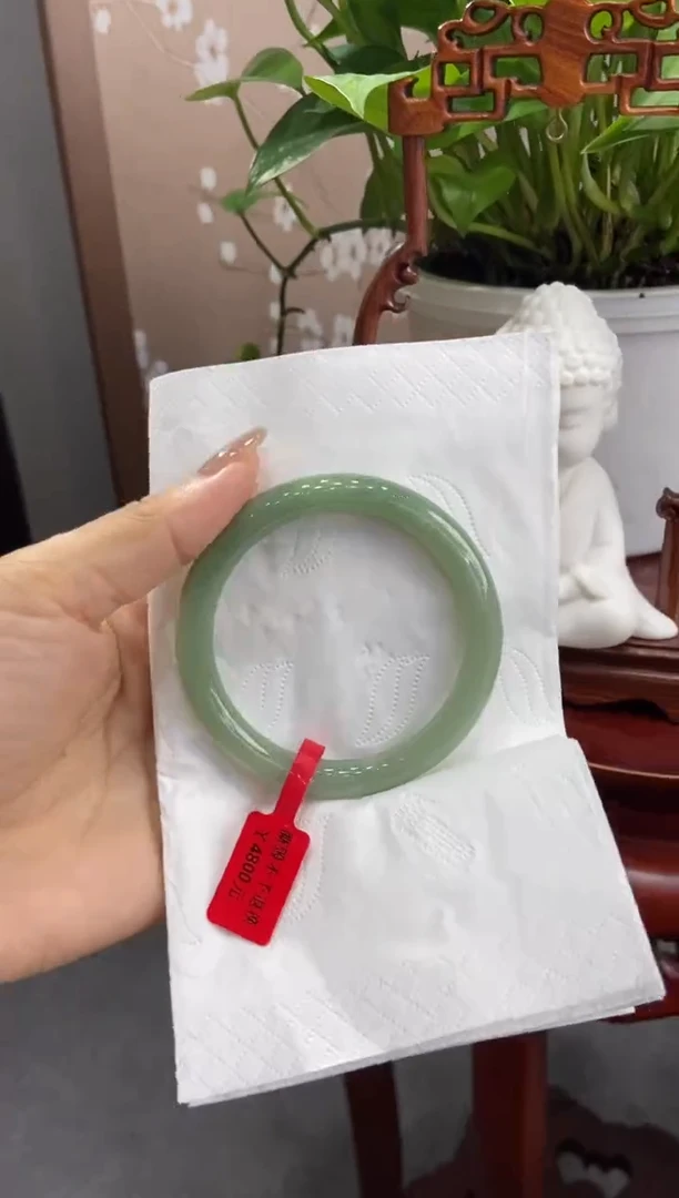 未镶嵌手镯翡翠00005867
