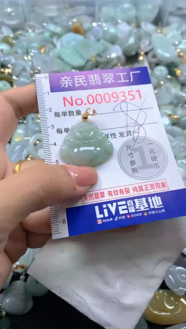 颈饰未镶嵌翡翠9351