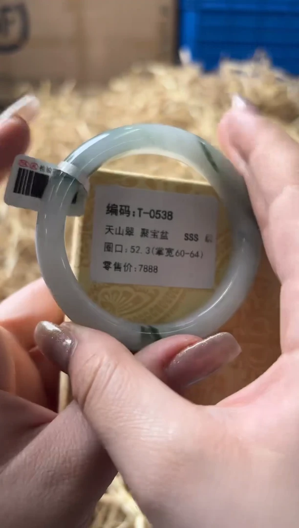 未镶嵌手镯石英质玉T-0538