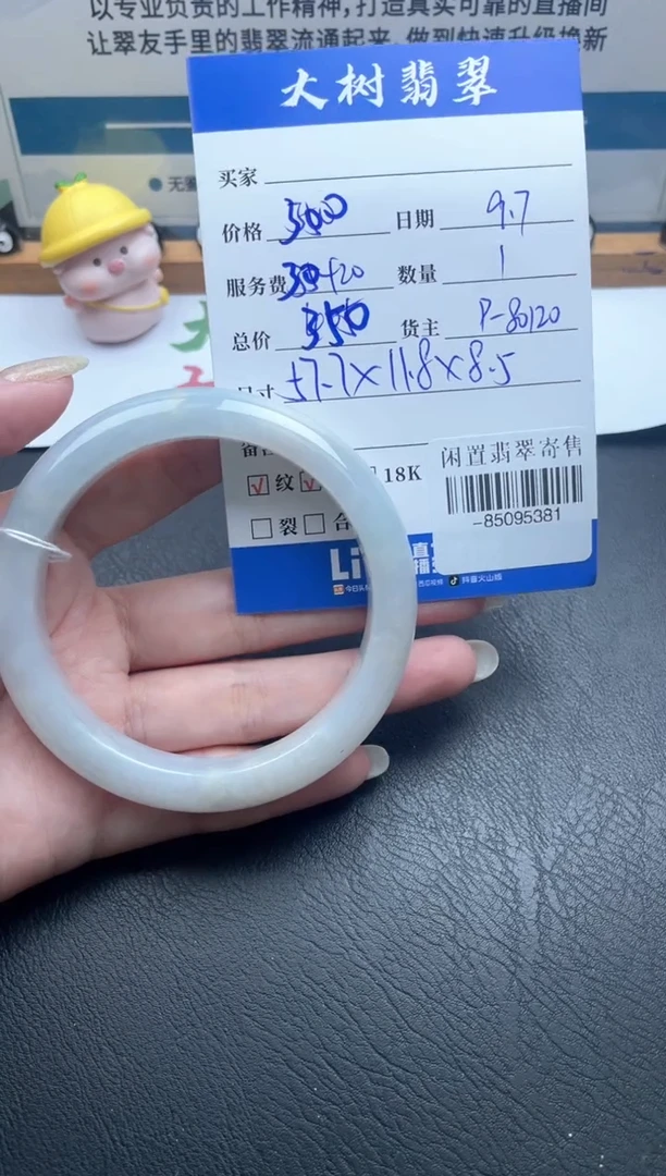 未镶嵌手镯翡翠 多人-85095381