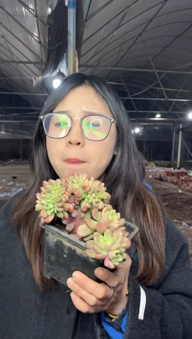 【闪购商品】168-香奈儿缀12.8