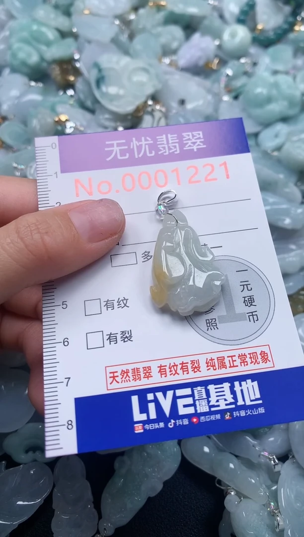 颈饰未镶嵌翡翠1221